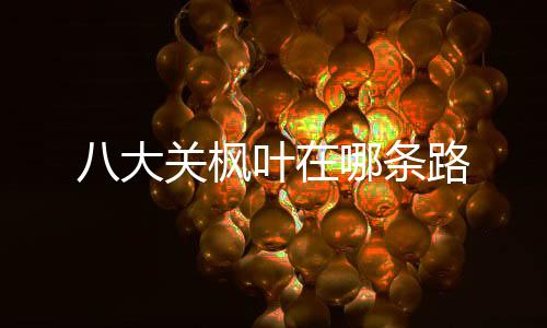 哪条叶在关枫八大路